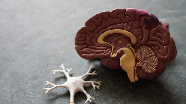 Advanced Neuromodulation & Brain Stimulation